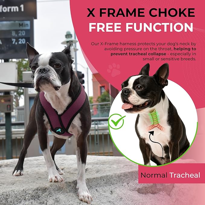 Gooby Comfort X Head In Harness - Purple, X-Large - No Pull Small Dog Harness Patented Choke-Free X Frame - Perfect on the Go Dog Harness for Medium Dogs No Pull, Small Dogs for Indoor and Outdoor Use