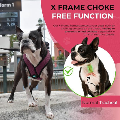 Gooby Comfort X Head In Harness - Purple, Large - No Pull Small Dog Harness Patented Choke-Free X Frame - Perfect on the Go Dog Harness for Medium Dogs No Pull or Small Dogs for Indoor and Outdoor Use