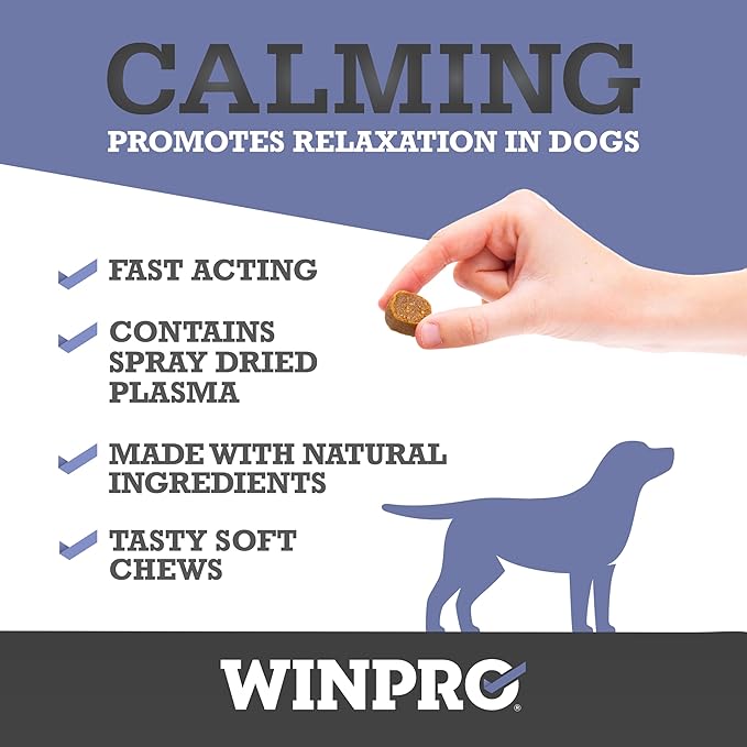 WINPRO Calming Chews for Dogs – Plasma-Powered Soft Chews to Promote Relaxation and Calming Effect – Made with Natural Ingredients, Grain-Free - Suitable for All Breeds & Sizes – 60 Count