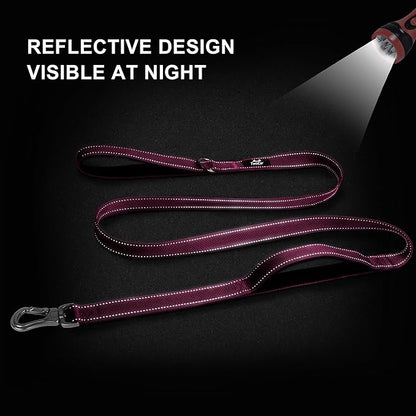 TwoEar 5FT 1IN Strong Rose Dog Leash with 2 Padded Handles, Traffic Handle Extra Control, Comfortable Soft Dual Handle, Auto Lock Hook, Reflective Walking Lead for Small Medium and Large Dogs