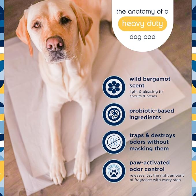 Pet Life Unlimited Heavy Duty Triple Extra Large Puppy Pads – 36" x 36", 26 Count (3XL) | Dog Training Pads with Odor Controlling Wetness-Activated Wild Bergamot Scent | USA Made