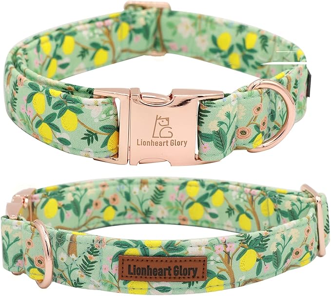 Lionheart glory Premium Floral Dog Collar Cute Dog Collars Spring Adjustable Soft Dog Collar Girl Pet Collars for X-Small Small Medium Large Dogs