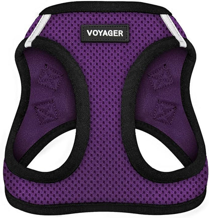 Best Pet Supplies Voyager Step-in Air Harness - All Weather Mesh, Reflective, No Pull Harness for Dogs, Cats - Secure with Hook & Loop Fastener, Buckle, Double D-Rings - Purple/Black Trim, M