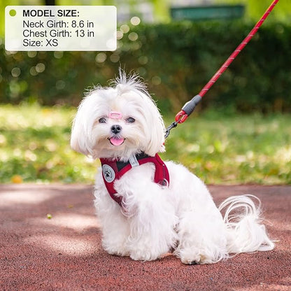 BEAUTYZOO Small Dog Harness and Leash Set, Step-in No Chock No Pull Soft Mesh Dog Harness Reflective for Extra-Small/Small Medium Puppy Dogs and Cats, Plaid Dog Vest Harness for XS S Pets, Red