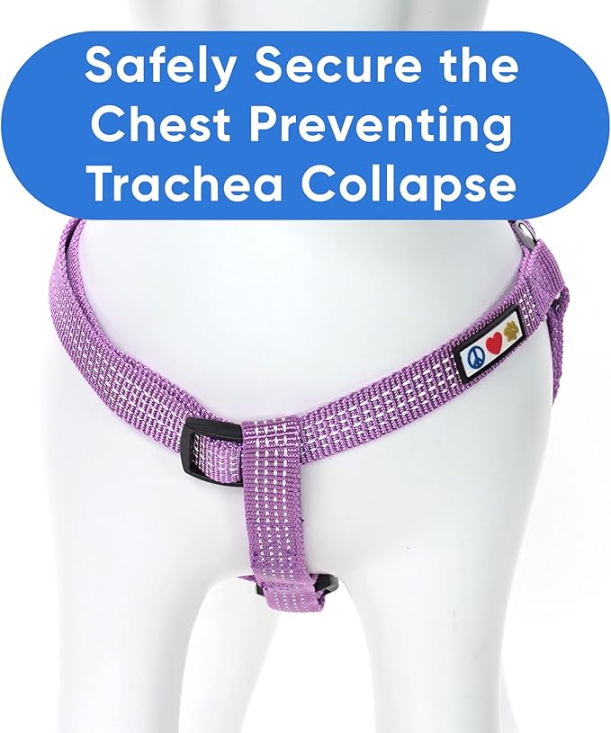 Pawtitas Reflective Step-in Dog Harness – Adjustable No-Pull Vest for Puppies to Seniors, Safe & Comfortable, L Orchid