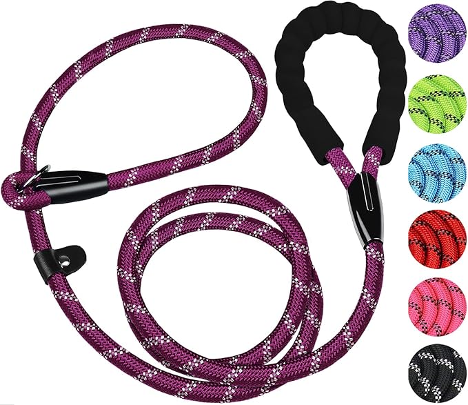 Dog Leash 6 FT, Durable Premium Quality Strong Training Rope Slip Leash with Comfortable Padded Handle and Highly Reflective Threads for Small Medium and Large Dogs, (Wine Red)