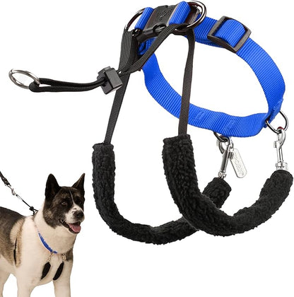 No Pull Dog Harness Medium Size Dog with Blue Padded Sherpa Sleeves, Breathable Training Halter, Provides to All Medium Sized Breeds by Sporn