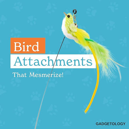GADGETSOLOGY Interactive Bird Simulation Cat Toy Set for Bored Indoor Adult Cats Feather Toy Wand 5 Pcs Natural Bird Feathers Stable Round Base Wand Cat Toys for Indoor Cats Hunting Toys