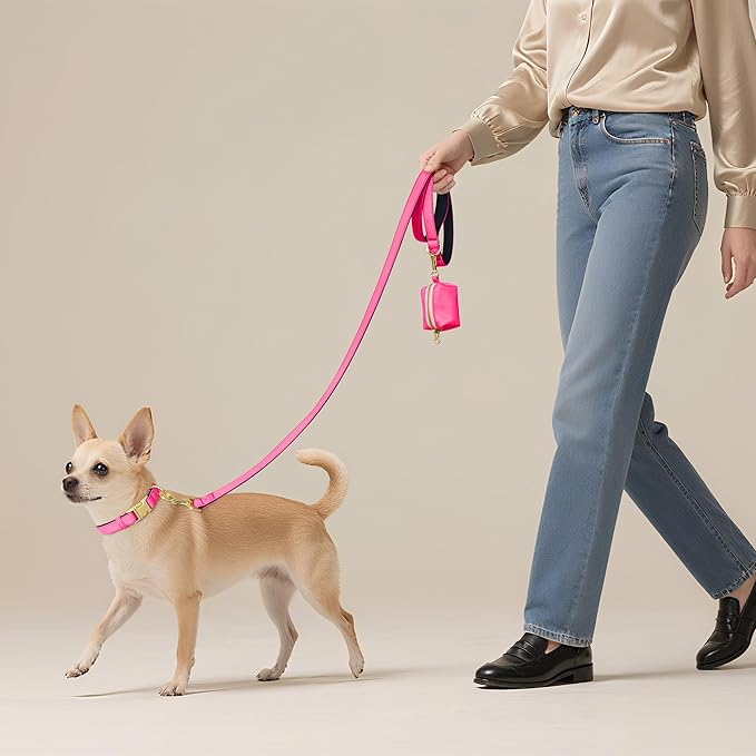 Didog Soft Padded Dog Collars for Small Dogs, Colorful and Durable Dog Collar with Quick Release Buckle, Light and Breathable for Daily Walking, Pink, S