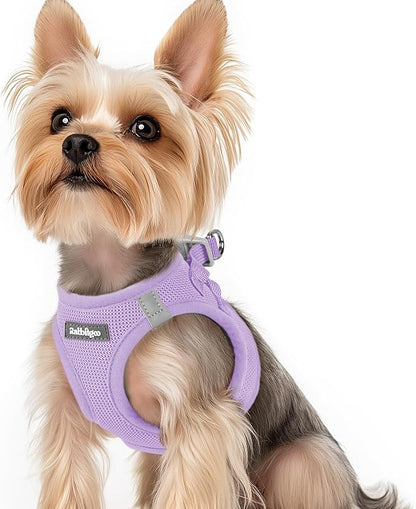 rabbitgoo Small Dog Harness, Step-in Soft Mesh Puppy Vest with Safety Buckle, Breathable Reflective Pet Harness for Small Sized Dogs, Light Purple XS