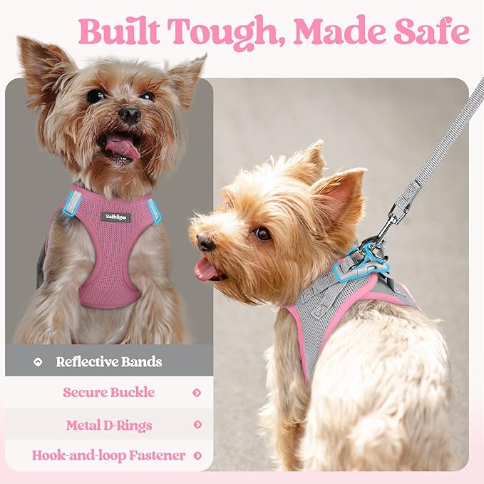 rabbitgoo Dog Harness Small Sized and Leash Set, Step in Soft Light Puppy Vest, Breathable Mesh Pet Harness, Reflective for Safe Easy Walking, Pink & Gray S