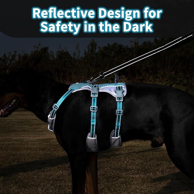 Huntboo Reflective Dog Harness with Handle, Escape Proof, No Slip, Breathable, Lightweight, Adjustable Lift Harness for Small, Medium, and Large Dogs Walking, Training, and Running Gear(Teal Blue,L)
