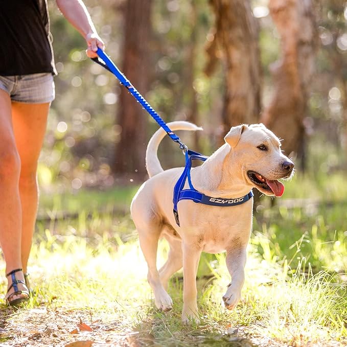 EzyDog Zero Shock Dog Leash - Shock Absorbing Bungee Leash for Dogs That Pull or Excite - Dual Handle and Reflective for Large, Medium, or Small Dogs (72-Inch, Pink Camo)