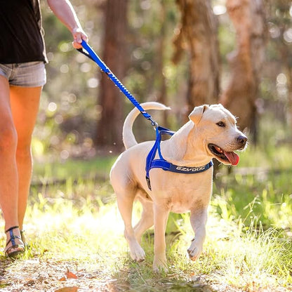 EzyDog Zero Shock Dog Leash - Shock Absorbing Bungee Leash for Dogs That Pull or Excite - Dual Handle and Reflective for Large, Medium, or Small Dogs (72-Inch, Pink Camo)