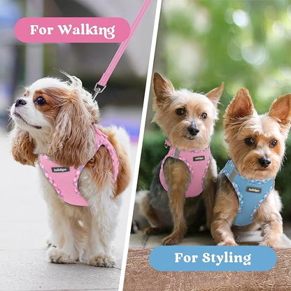 rabbitgoo Small Dog Harness, Step-in Soft Mesh Puppy Vest with Safety Buckle, Breathable Reflective Pet Harness for Extra Small Dogs, Pink & Plaid Trim XXS