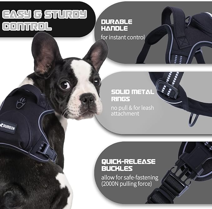 No Pull Dog Harness for Medium Dogs, Adjustable No Choke Pet Vest with Dog Leash Fit Smart Reflective Pet Walking Harness for Training Easy Control Soft Handle Black S