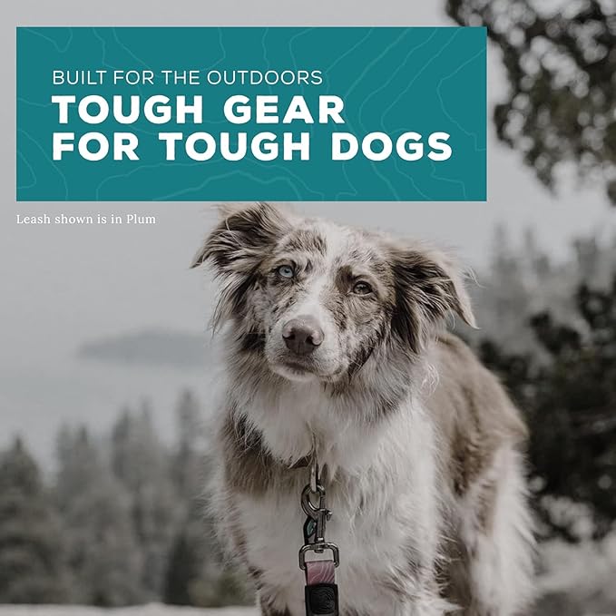 Wilderdog Waterproof Dog Leash - Repels Water & Dirt - Plum
