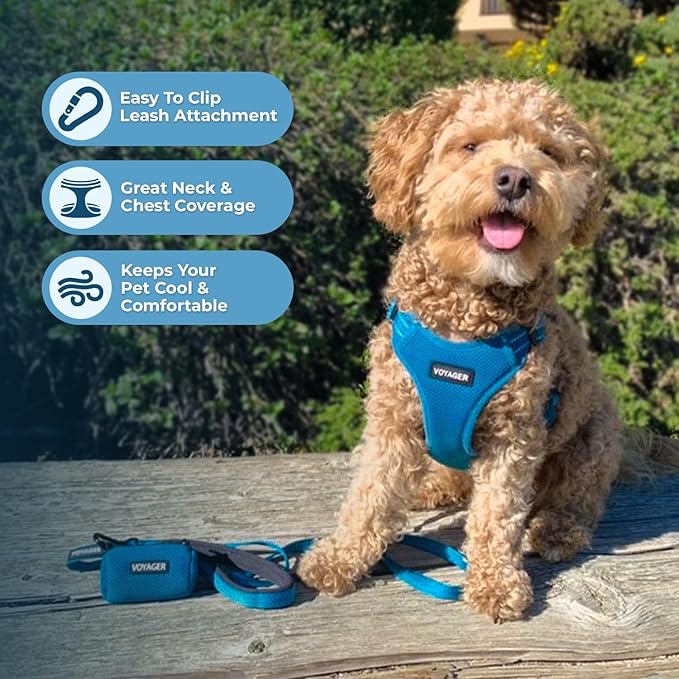 Best Pet Supplies Voyager Adjustable Step-in Flex Breathable Mesh Dog Harness for Small Medium Large Dogs Leash Set (Turquoise), S