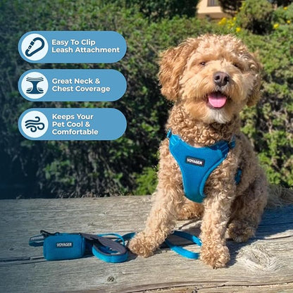 Best Pet Supplies Voyager Adjustable Step-in Flex Breathable Mesh Dog Harness for Small Medium Large Dogs Leash Set (Turquoise), S