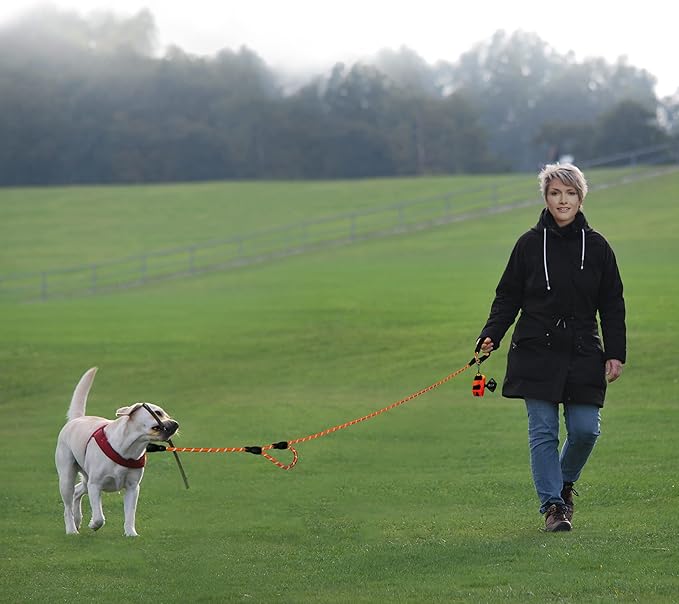 PLUTUS PET Rope Dog Leash 6ft Long,Traffic Padded Two Handle,Heavy Duty,Reflective Double Handles Lead for Control Safety Training,Leashes for Large Dogs or Medium Dogs,Dual Handles Leads(Orange)