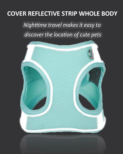 Solmoony Dog Harness for Small Medium Dogs No Pull, Puppy Harness and Leash Set, Puppy Harness for Small Dogs, Step in Harness for Small Dogs, mesh Dog Harness. (Bule, L)