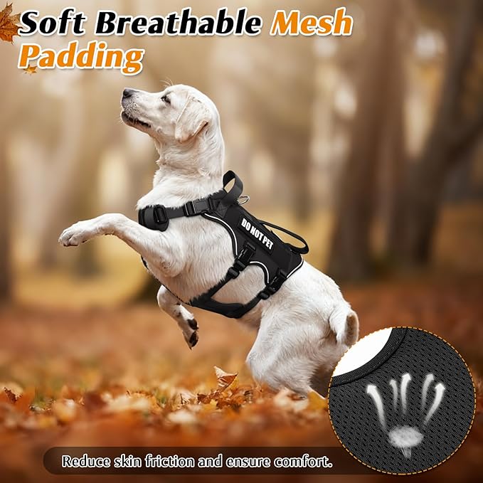 WINSEE Escape Proof Dog Harness, Service Working Molle Harness with Double Handle, Tactical Pet Vest with 4 Patches for Small Medium Large Dogs Walking Hiking Hunting