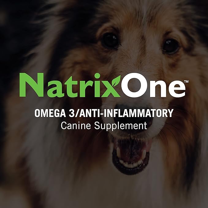 100% Pure Camelina Oil for Dogs, 16 oz - Dog Skin and Coat Supplement All-Natural Supplements, Support Hearts, Joints, Coats, Skin and Anti-inflammatory, Protective Care - Omega 3 by NatrixOne