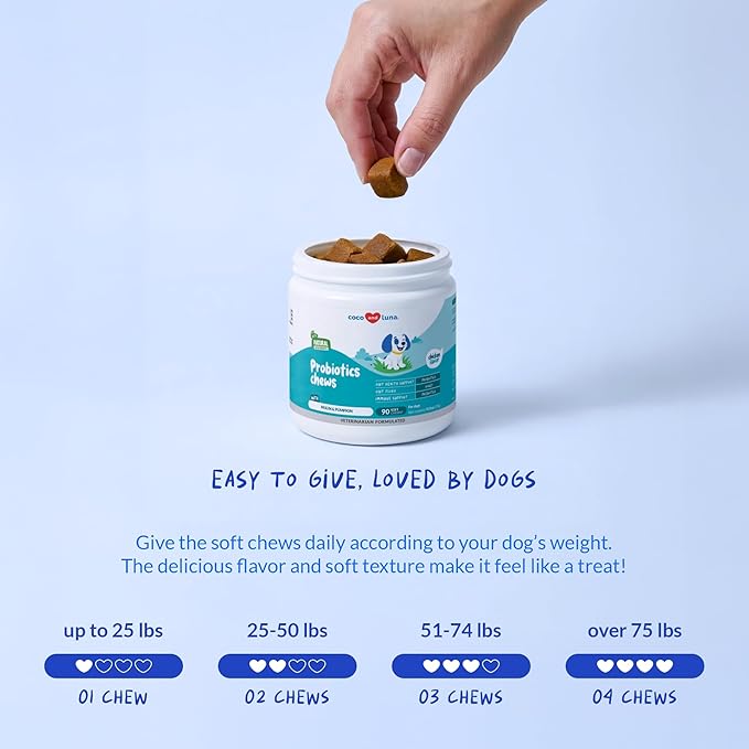 Probiotics for Dogs Digestive Health - Support Gut Health, Diarrhea, Gas, & Seasonal Allergies - with Honey, Pumpkin and Prebiotics for Digestive Support, Bad Dog Breath & Constipation