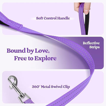 rabbitgoo Dog Harness Small Medium Sized and Leash Set, Step in Soft Light Puppy Vest, Breathable Mesh Pet Harness, Reflective for Safe Outdoor Walking, Purple L
