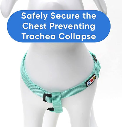 Pawtitas Solid Step-in Dog Harness – Adjustable No-Pull Vest for Puppies to Seniors, Safe & Comfortable L Teal