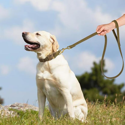 Didog PU Leather Dog Leash, Colorful Dog Leash 4ft, Strong and Durable Faux Leather Lead, Walking and Training Lead for Small Medium Dogs,Dark Green