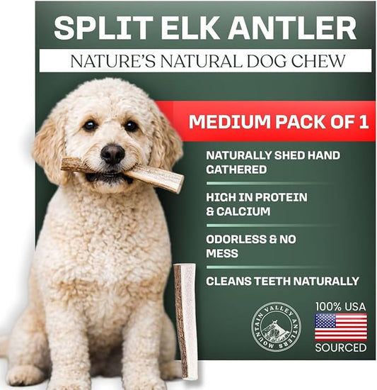 Mountain Valley Elk Antlers for Dogs - 100% Natural & Organic Chew for Aggressive Chewers, No Odor, No Mess, Long Lasting - Wild-Foraged Naturally Shed Antlers in USA - Grade A, Split Medium (1 Pack)