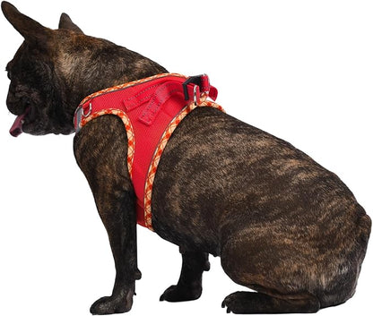 AMTOR Small Dog Harness with Leash Set, No Escape Easy Walk Puppy Harnesses for Training Walking, Step-in Reflective Soft Dogs Vest for XS S Medium Extra-Small Large Sized Dog(Red,XXS)