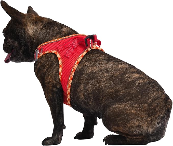 AMTOR Small Dog Harness with Leash Set, No Escape Easy Walk Puppy Harnesses for Training Walking, Step-in Reflective Soft Dogs Vest for XS S Medium Extra-Small Large Sized Dog(Red,XL)