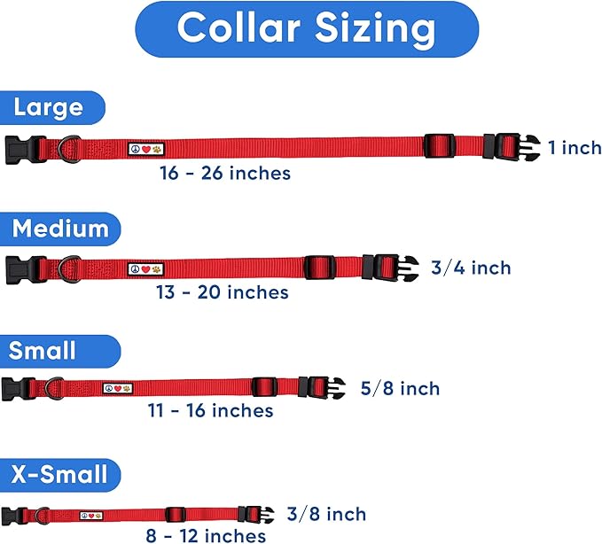 Pawtitas Reflective Dog Collar Adjustable Dog Collars for Small Dogs Puppy Collar Extra Small Dog Collar Teal Dog Collar