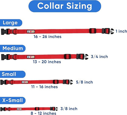 Pawtitas Reflective Dog Collar Adjustable Dog Collars for Small Dogs Puppy Collar Extra Small Dog Collar Teal Dog Collar