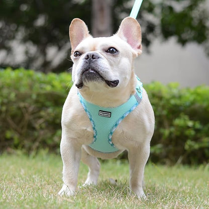 Mercano Soft Mesh Dog Harness and Leash Set, No-Chock Step-in Reflective Breathable Lightweight Easy Walk Vest Harnesses with Safety Buckle for Small Dogs, Cats (Light Green, S)