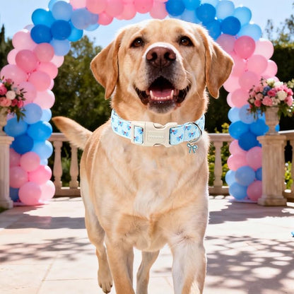 DOGWONG Blue Dog Collar, Cute Blue Boy Dog Collar Adjustable Soft Male Female Pet Dogs Collar Bowtie Printed Dog Collars for Medium Large Dogs