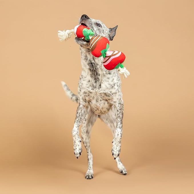 Fringe Studio Plush Dog Toy with Rope, Covered with Love, Petshop Collection (314495)