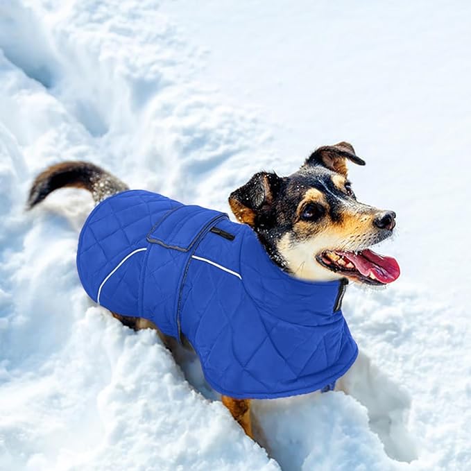 Kuoser Dog Jacket Warm Fleece Lined Dog Coats for Small Dogs, Waterproof Pet Coat Reflective Puppy Snowsuit with Harness Hole for Cold Weather Walking Hiking, Quilted Dogs Winter Vest, Blue, S