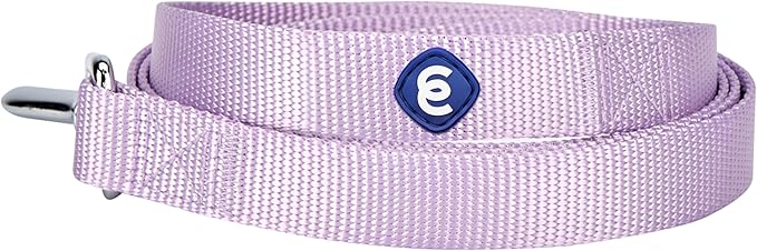 Blueberry Pet Essentials Lavender Dog Leash for X-Small -5' * 3/8" Dogs | Heavy Duty Nylon Lead | Lightweight Puppy & Cat Leash for Walking & Training