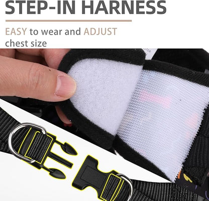 PUPTECK Dog Harness and Leash Set for Small Medium Dogs No Pull Step-in Soft Mesh Puppy Cat Vest Harnesses Reflective at Night, Black Paw, S
