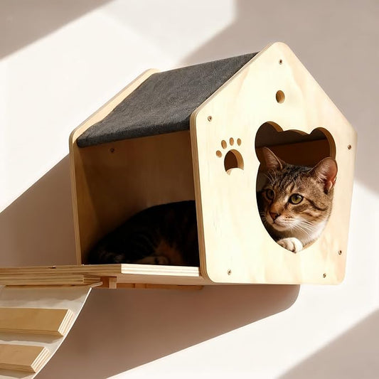 Cat Wall Shelves, Multi-Level Cat Climbing for Indoor Cats, DIY Wall-Mounted Cat Furniture Set with Toys for Play & Rest