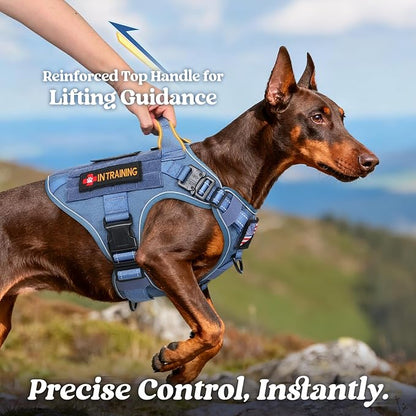 rabbitgoo Tactical Dog Harness for Large Dogs, No Pull Upgraded Reflective Heavy Duty Molle Vest with Handle, Adjustable Military Service Dog Vest for Walking Hiking Training, Blue, L