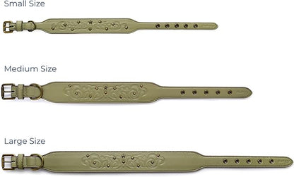 Blueberry Pet Premium Embossed Sage Green Glam Silver-Powered Freshness Microfiber Leather Dog Collar with Antique Brass Studs