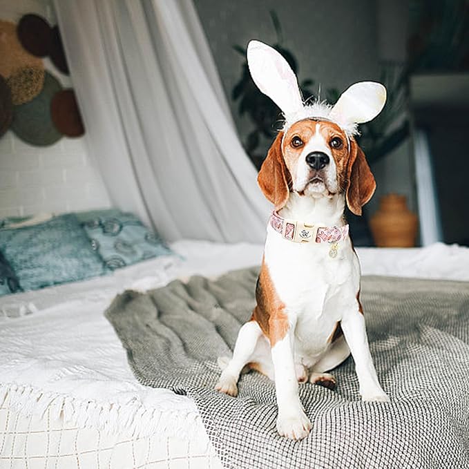 Elegant little tail Easter Dog Collar,Bunny Pattern Pet Collar Pink Durable Holiday Female or Male Adjustable Cotton Pet Collar with Quick Release Buckle for Small Dogs