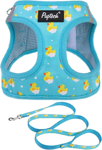 PUPTECK Dog Harness and Leash Set for Small Medium Dogs No Pull Step-in Soft Mesh Puppy Cat Vest Harnesses Reflective at Night, Blue Duck, M