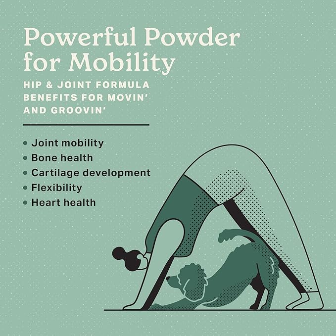 The Missing Link Hip & Joint + Probiotics Supplement 1lb Bag - Superfood Powder for Dog Cartilage & Bone Health, Joint Mobility & Flexibility