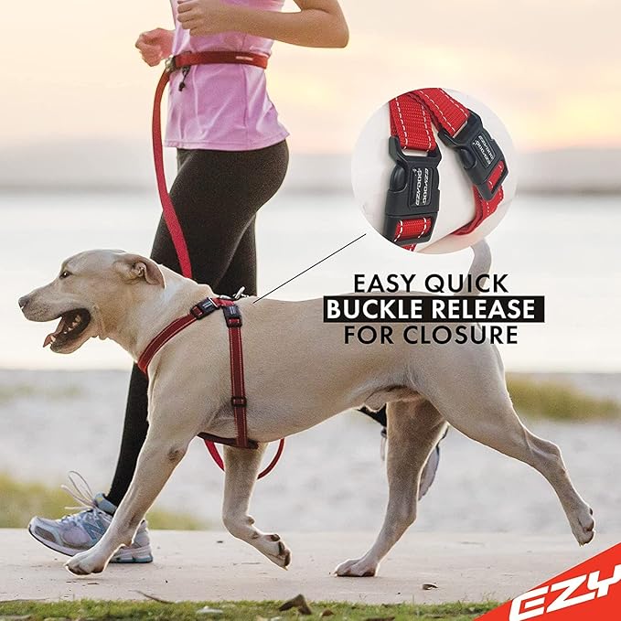 EzyDog Chest Plate No Pull Dog Harness – Escape Proof Harness with Reflective Stitching and Comfort Padding for Easy Walks, Training & Control - Car Restraint Included (Small, Red)