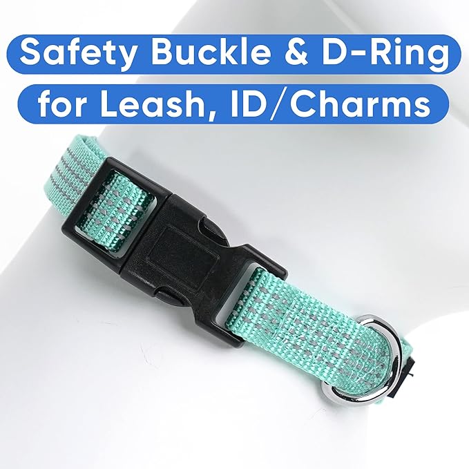 Pawtitas Reflective Dog Collar Adjustable Dog Collars for Small Dogs Puppy Collar Extra Small Dog Collar Teal Dog Collar